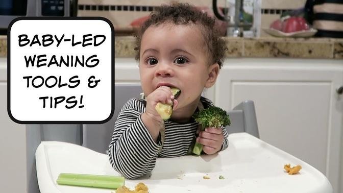 Baby Led Weaning for Beginners| Review of Baby Led Weaning