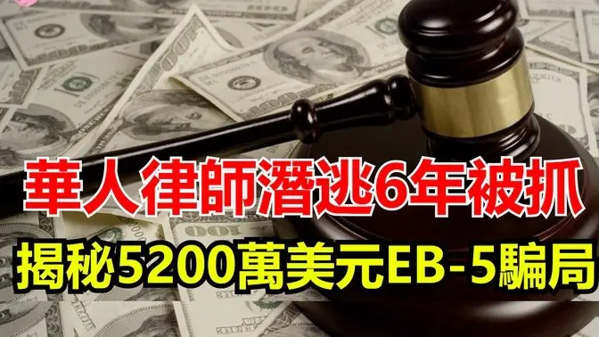 硅谷律師潛逃6年被抓！揭秘5200萬美元EB-5騙局 2025美國移民新警鐘：陳丹紅案教你避開EB-5坑 【Echo走遍美国】 【Echo's happy life】 【Echo的幸福生活】