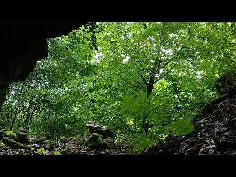 Rain and distant thunder noises, view from a small cave during a thunderstorm