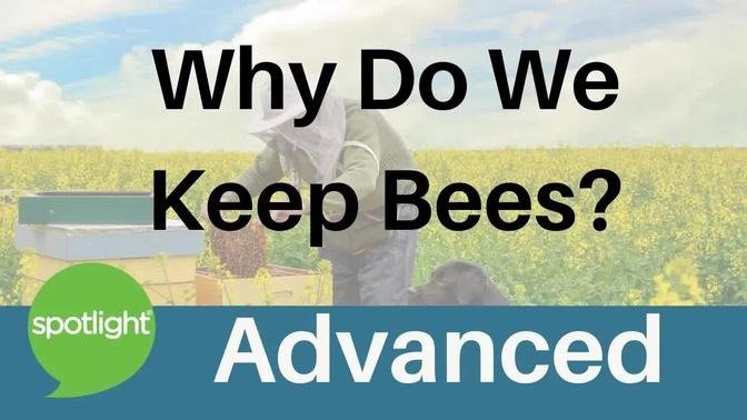 Why Do We Keep Bees? | ADVANCED | practice English with Spotlight