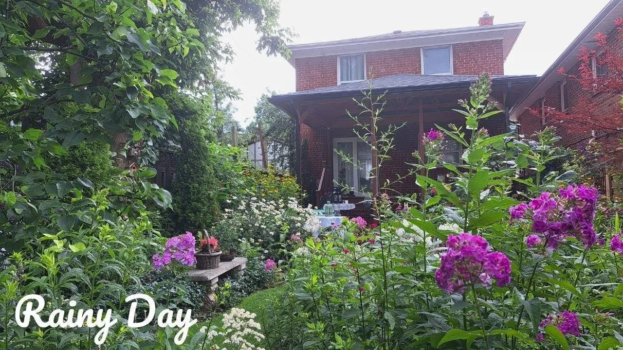 Rainy Day in My Garden | Perennial Plants