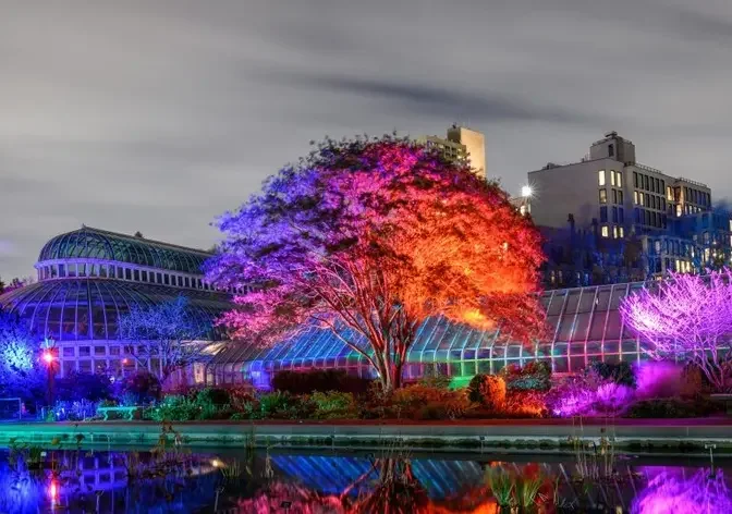 Last Chance to See Brooklyn Botanic Garden’s Lightscape