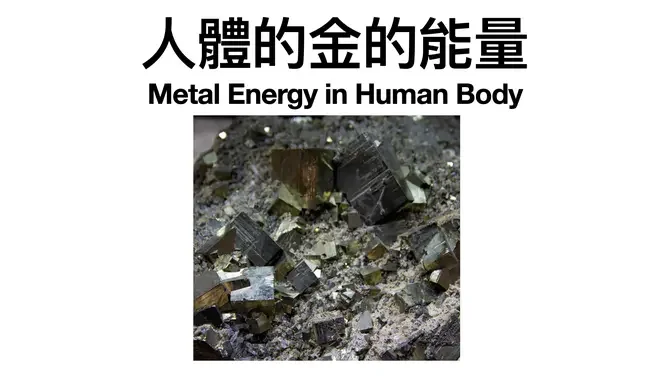 14-人體的金的能量 Metal Energy In Human Body