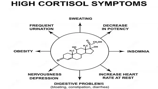 common-8-signs-you-have-high-cortisol