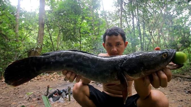 Cooking Giant Fish on a Rock & Bush-craft Dinner