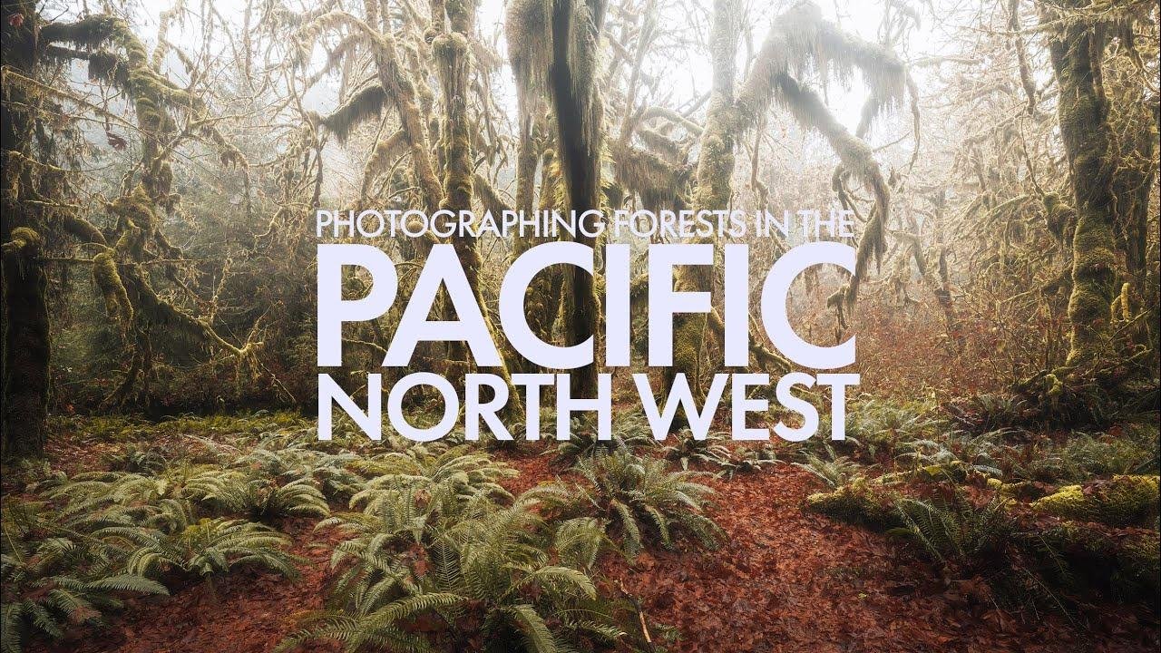 Learning to Photograph Forests
