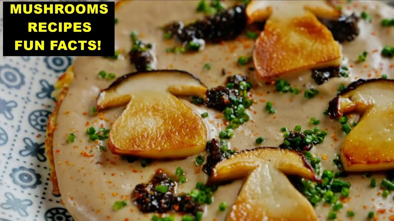 13 Delicious Mushroom Recipes 🍄 Fascinating Facts & Types You Didn’t Know!