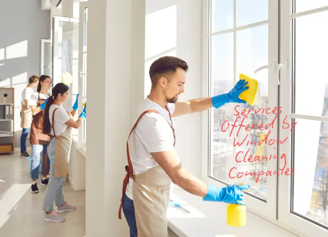 Understanding the Customer Support Services Offered by Window Cleaning Companies