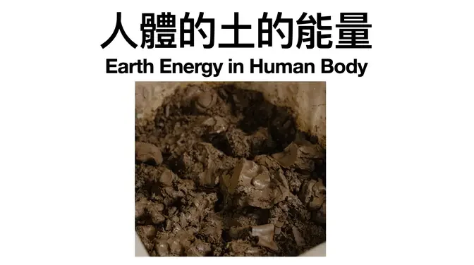 13- 人體的土的能量 Earth Energy in Human Body