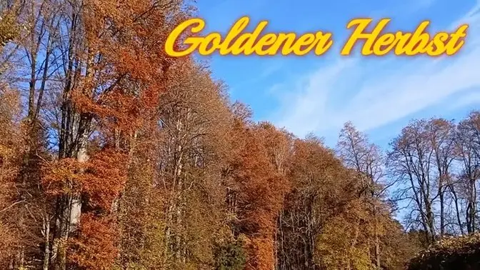 Goldener Herbst-Schaftlach