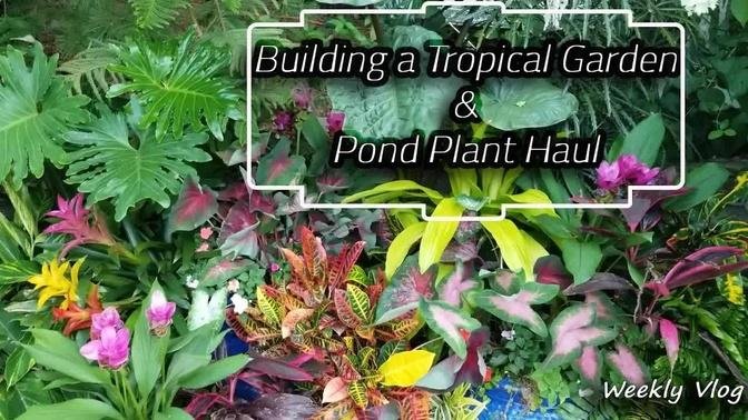 Tropical Garden Makeover & Pond Plant Haul