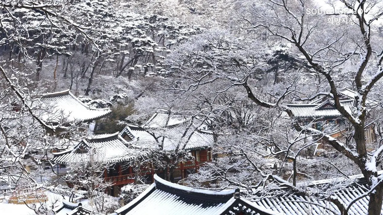 #winterbeauty 강화도 전등사 설경 (傳燈寺 雪景)
