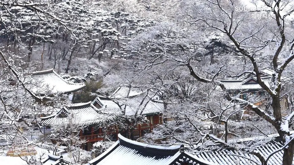 #winterbeauty 강화도 전등사 설경 (傳燈寺 雪景)