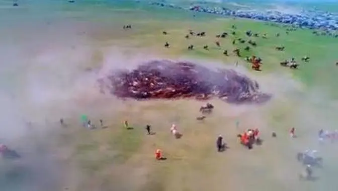 Spectacular drone footage of hundreds of horses spiralling at Naadam festival in China