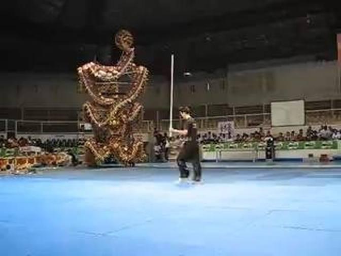 沈振達伏虎雙頭棍