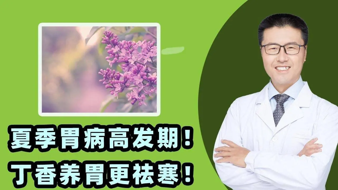 夏季胃病高发期！丁香养胃更祛寒！｜【老安谈健康】