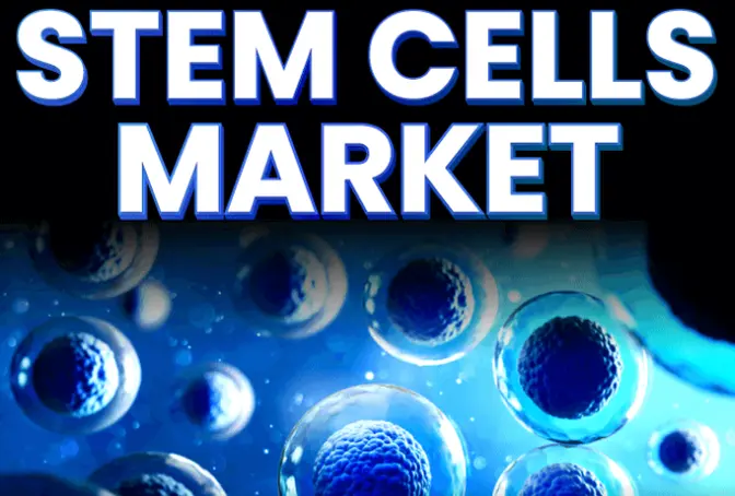 Stem Cells Market: Key Growth Opportunities and Forecast (2024-2032)