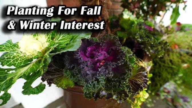Planting For Winter Interest || Kale & Cabbage Windmill Palm Planters