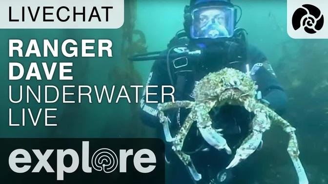 Ranger Dave With A Giant Crab - Underwater Live Chat