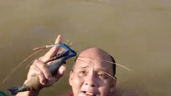 Vietnamese man uses bare hands and no diving gear to catch fish and shrimp