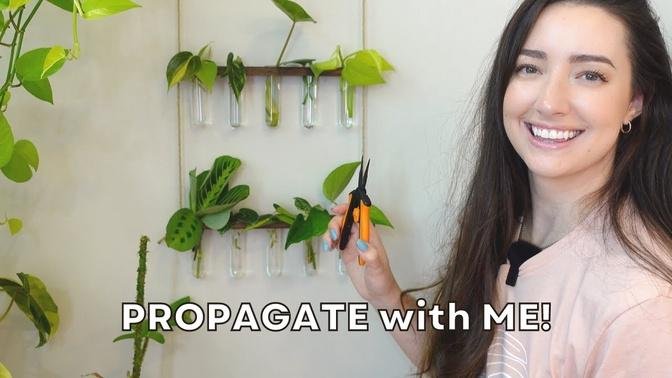 Propagate 15 Plants with Me! | Filling up my Propagation Station with Cuttings!