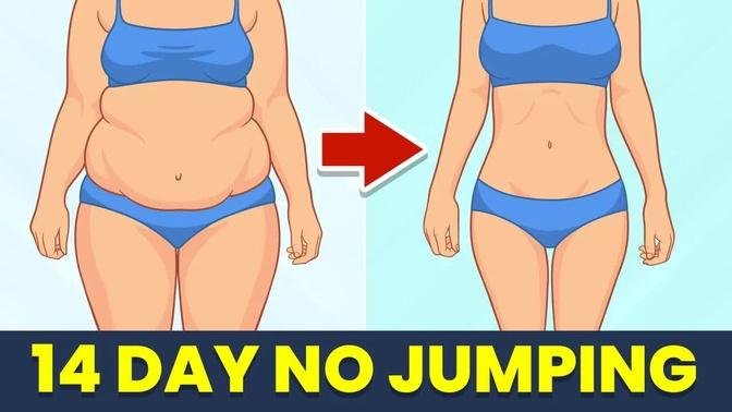 LOSE WEIGHT IN 2 WEEKS No Jumping - Full Body Workout at Home No Equipment 30 Min