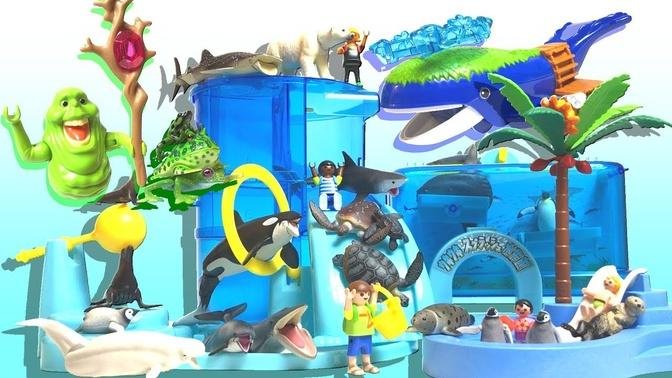 【Ania】Fun Splash Aquarium Whale Island