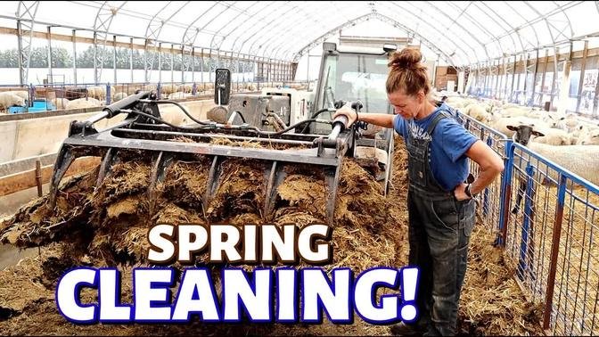 MY SHEEP BARN GOT A MAKEOVER! (Cleaning the SHEEP BARN for LAMBING): Vlog 303