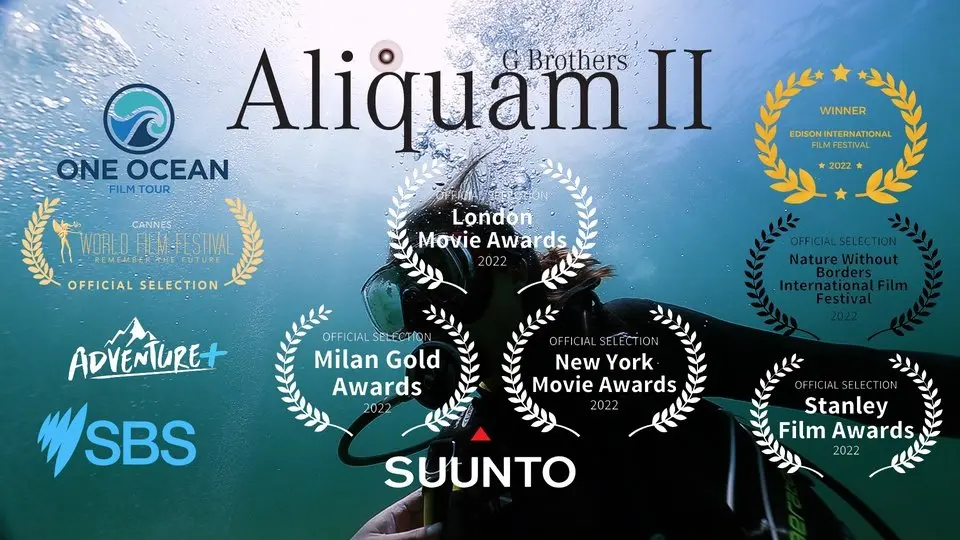 Aliquam II