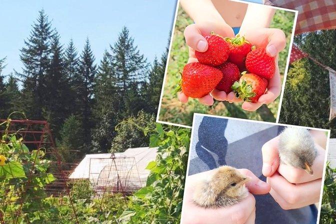 Homesteading Mom Grows, Stores Enough Food to Feed Family of Six for Two Years. Here’s How She Did It