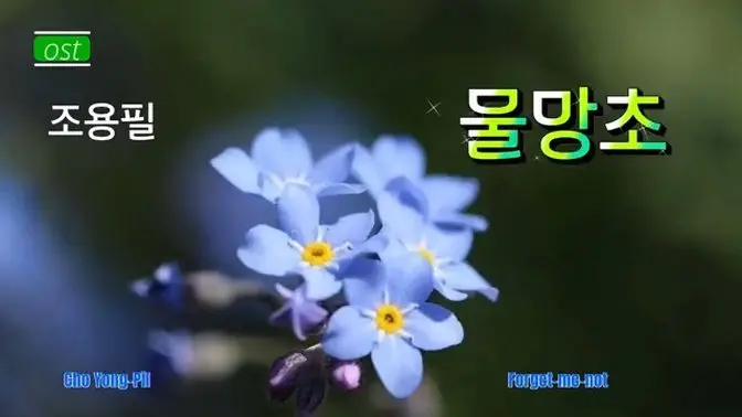 물망초 ( Forget-me-no t) - 조용필 ( Cho Yong Pil )