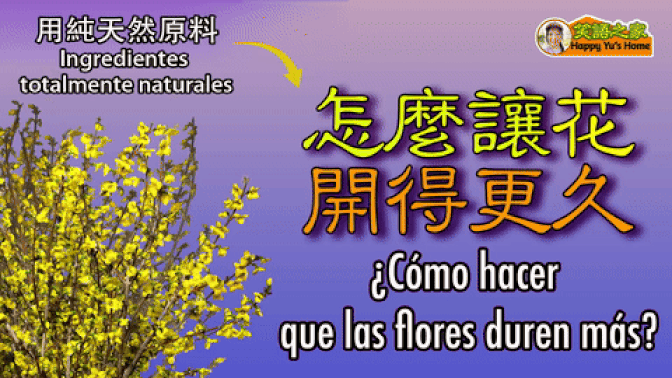【Vida orgánica】¿Qué ingredientes totalmente naturales ayudan a que las flores duren más? | ¿Cómo conservarlas sin usar químic