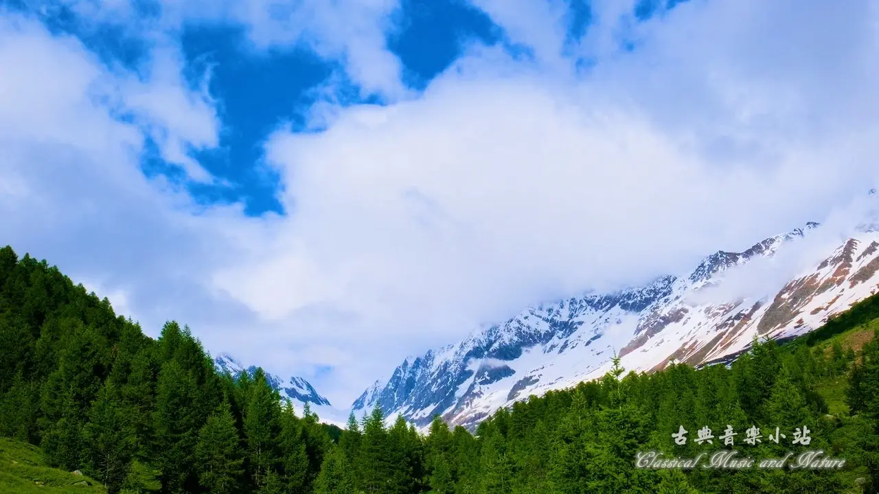 Schubert: String Quartet No. 13 in A minor "Rosamunde" - II. Andante