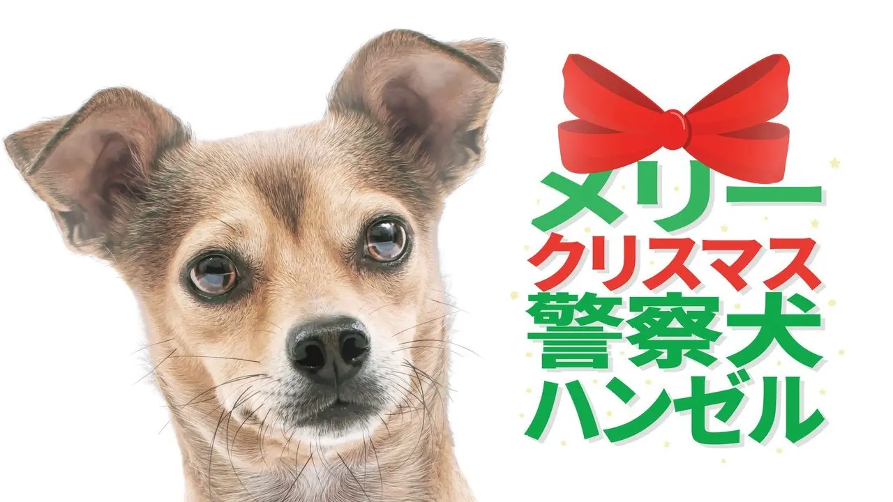 メリークリスマス警察犬ハンゼル
