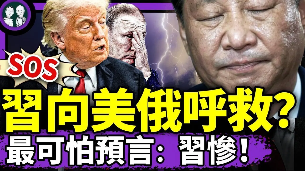 （老北京茶館/第1376集/2025/06/07）