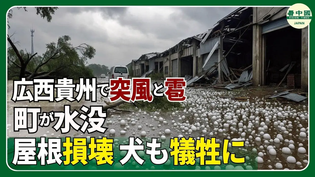 広西・貴州で突風と雹、町が水没　屋根損壊・犬も犠牲