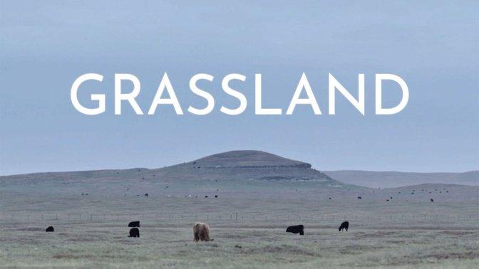Grassland