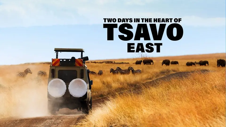 Two Days in the Heart of Tsavo East