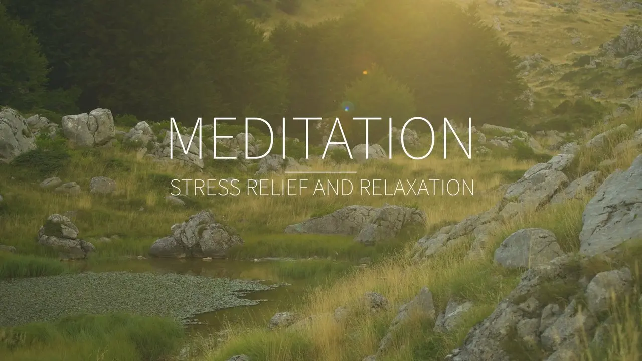 10 Minute Mindful Calmness