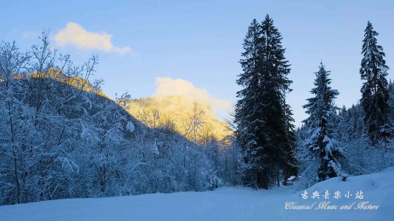 Brahms: 8 Piano Pieces, Op. 76 Iv. Intermezzo In B-Flat Major