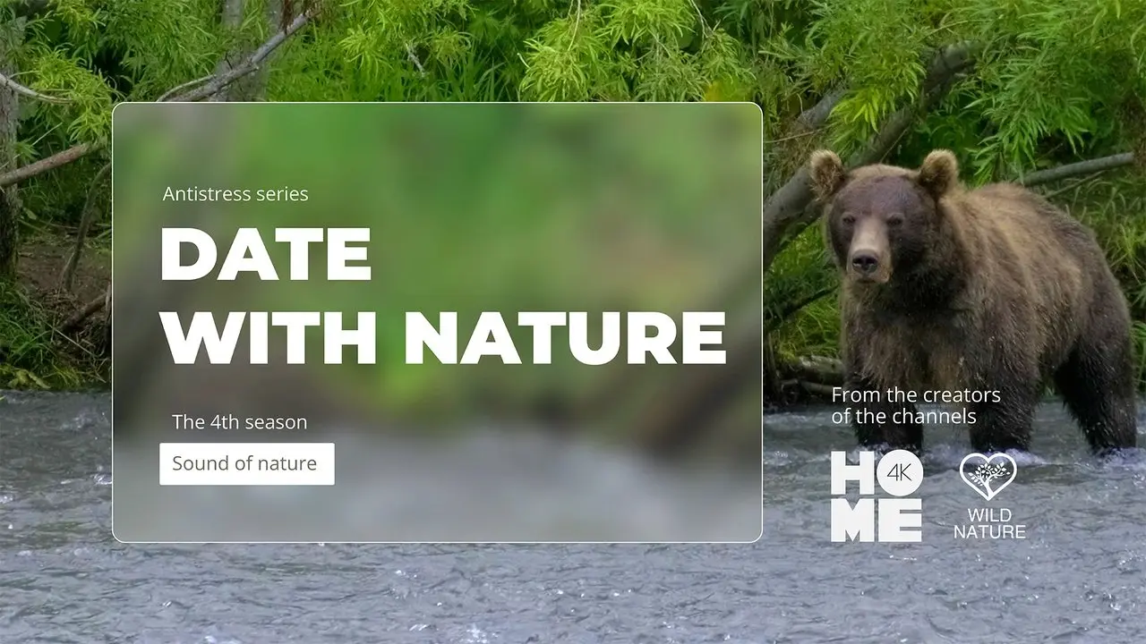 Date with Nature Season 4