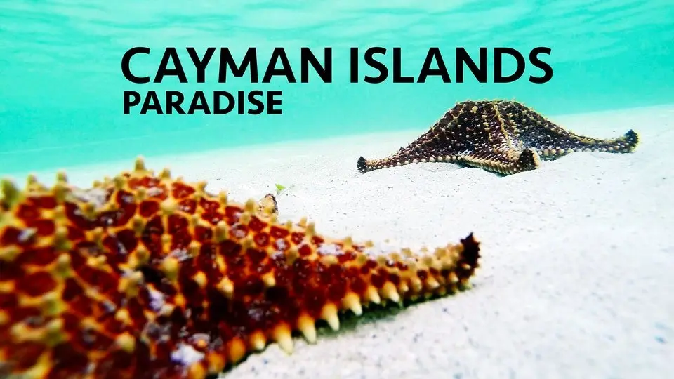 Cayman Islands: Paradise