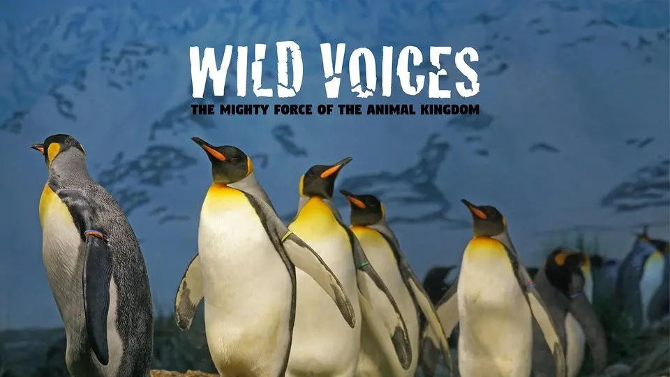 Wild Voices - The Mighty Force of the Animal Kingdom