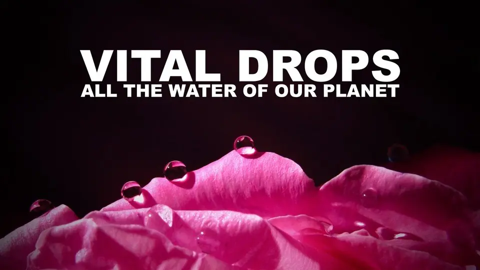 Vital Drops - All the Water of Our Planet